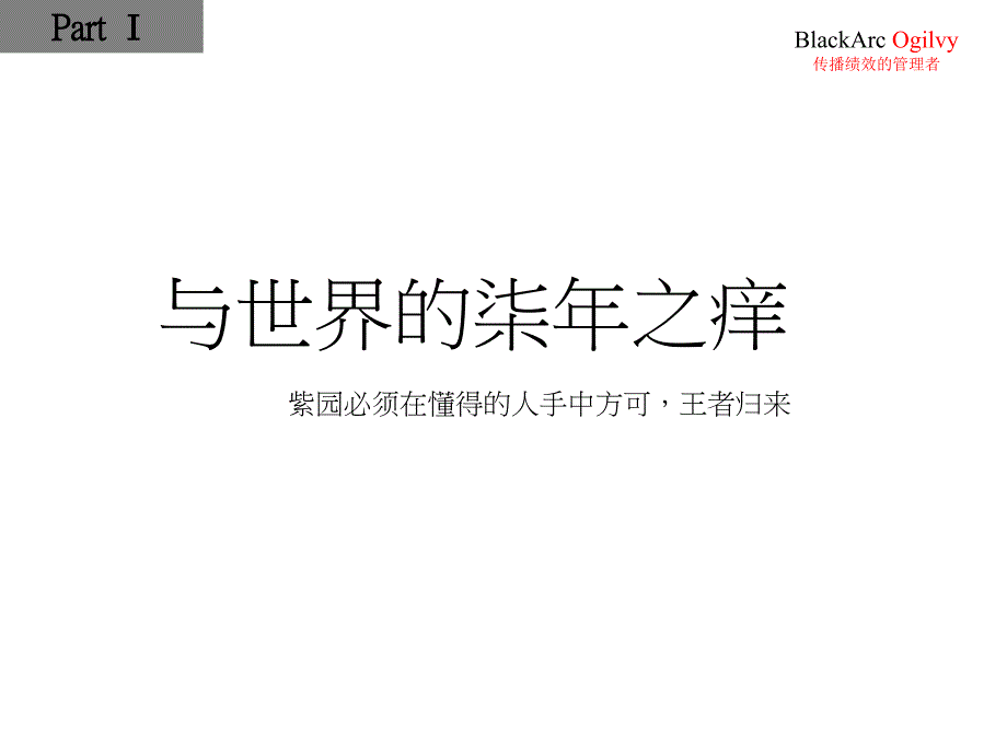 黑弧奥美上海紫园营销推广策略_第4页