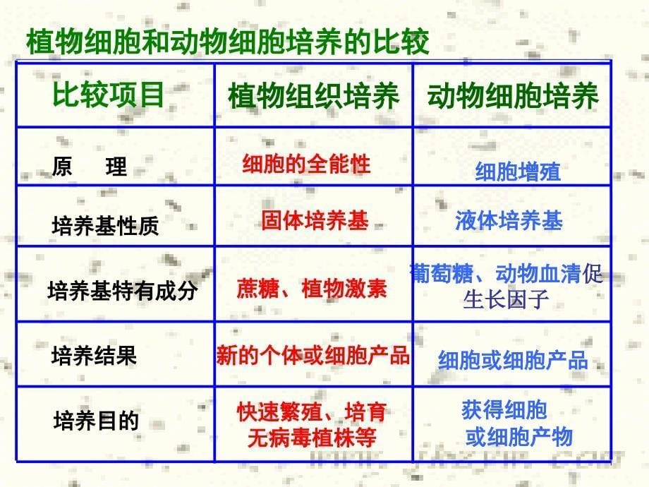 高二生物选修3 动物细胞工程 ppt_第5页