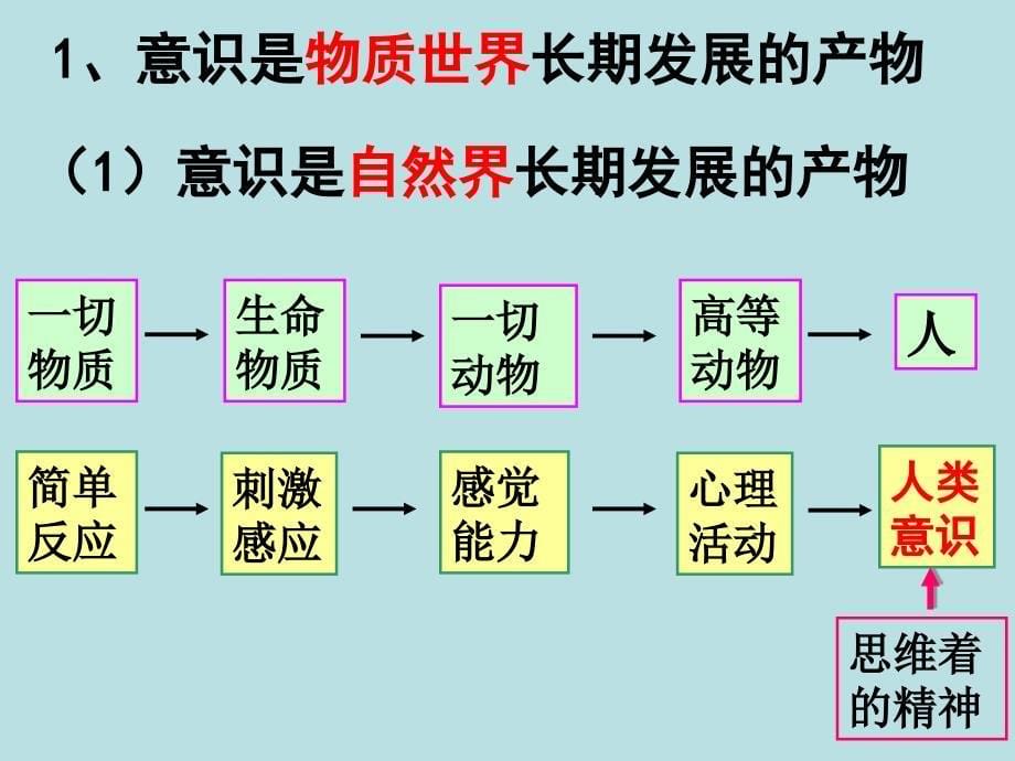 高中政治必修四 哲学5.1意识的本质_第5页