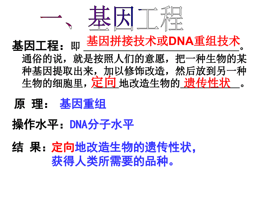 6.2基因工程及其应用课件顾良国_第4页