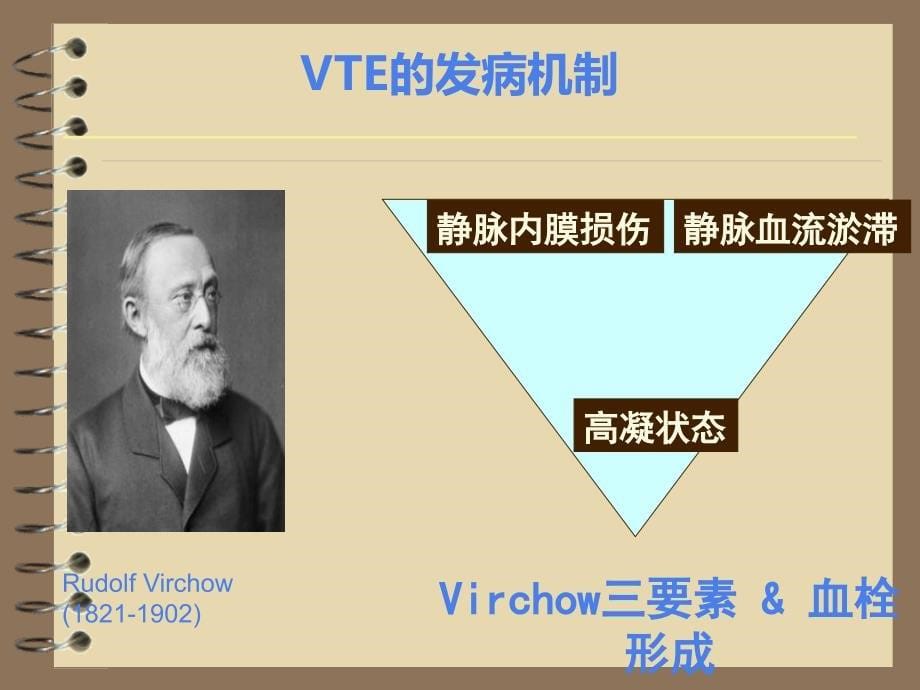 静脉血栓栓塞症(VTE)的诊断和治疗.ppt_第5页