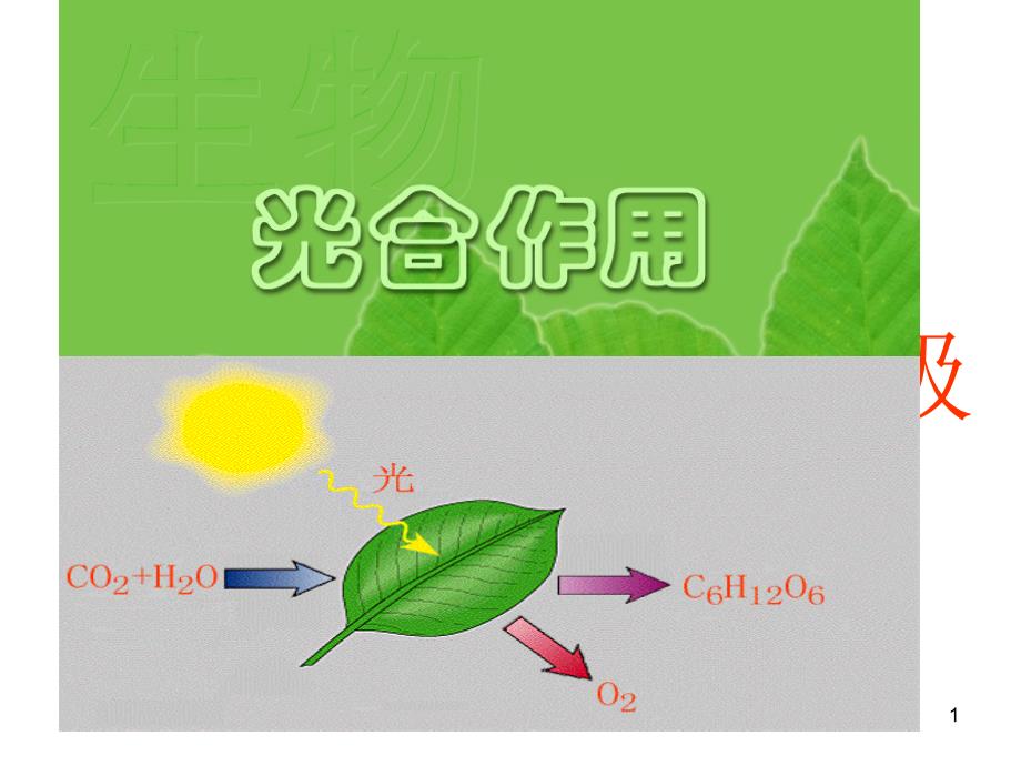 光合作用和细胞呼吸复习_第1页