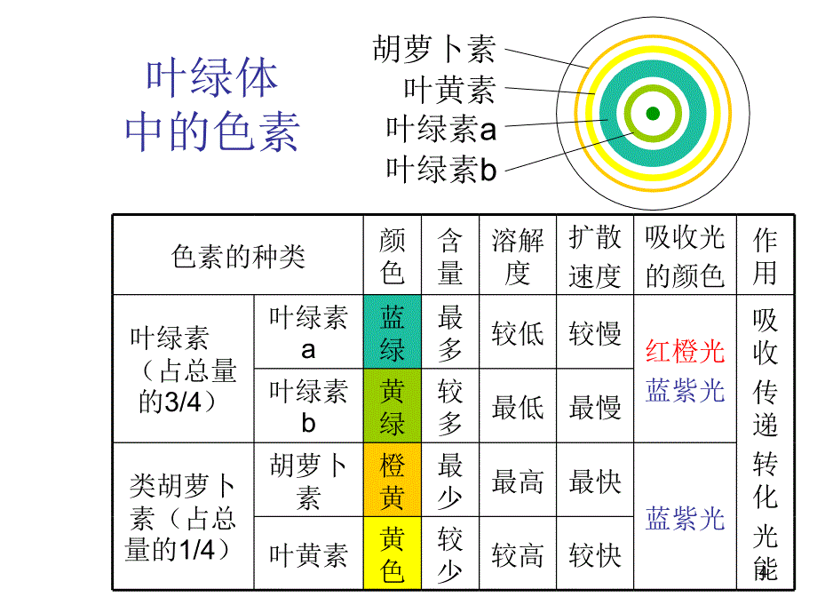 光合作用和细胞呼吸复习_第4页