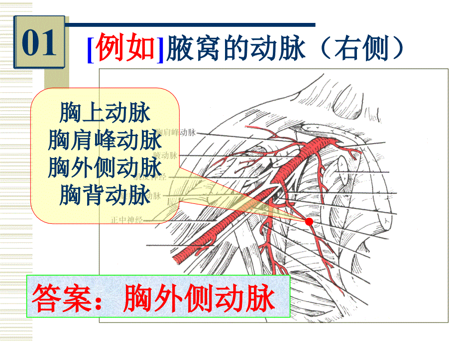 局解实验考_第2页