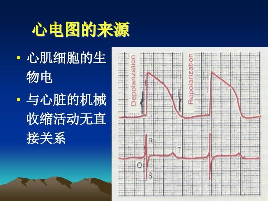 动物心电图的描记_第5页