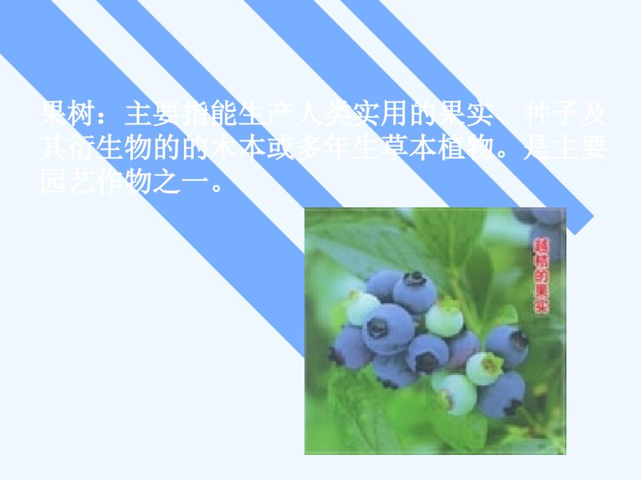 [果树栽培学].完整课件-第一章+绪论.ppt_第3页