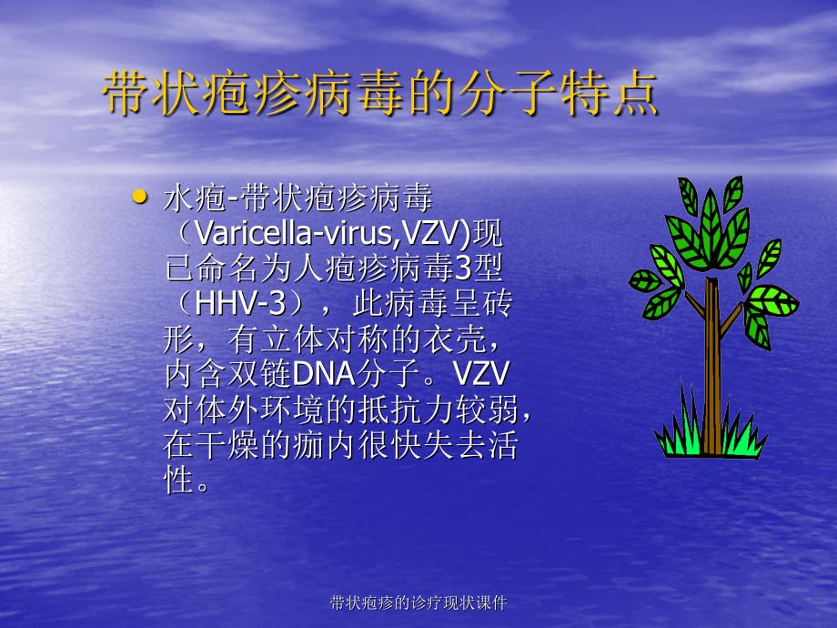 带状疱疹的诊疗现状课件_第3页