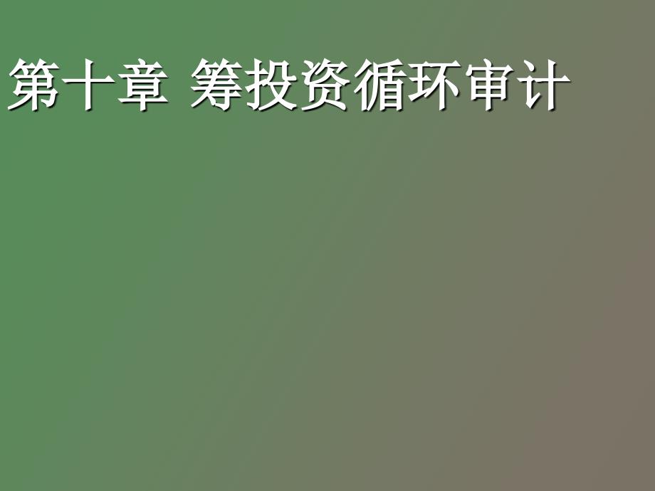 筹资和投资循环审计_第1页