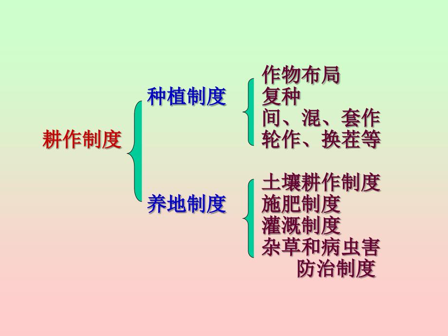 种植制度耕作制度_第3页