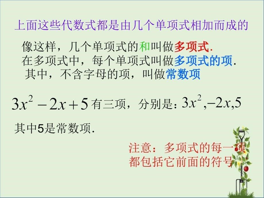 七年级数学上册3.3整式3.3.2多项式教学课件1新版华东师大版课件_第5页