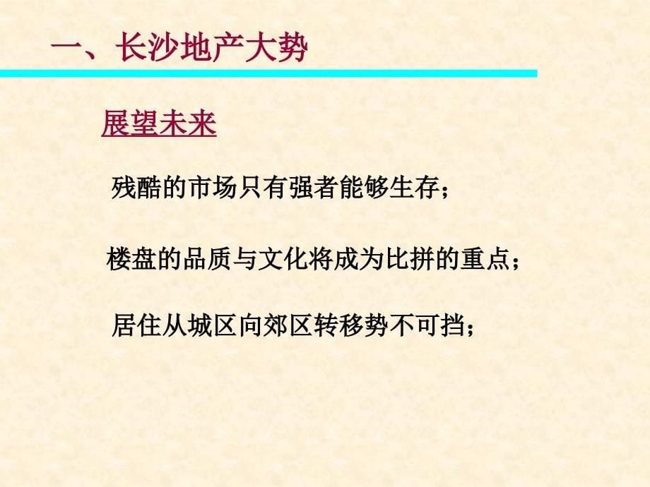 【商业地产PT】长沙圣悦嘉园营销实操方案_第5页