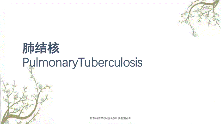 制本科肺结核x线ct诊断及鉴别诊断_第1页