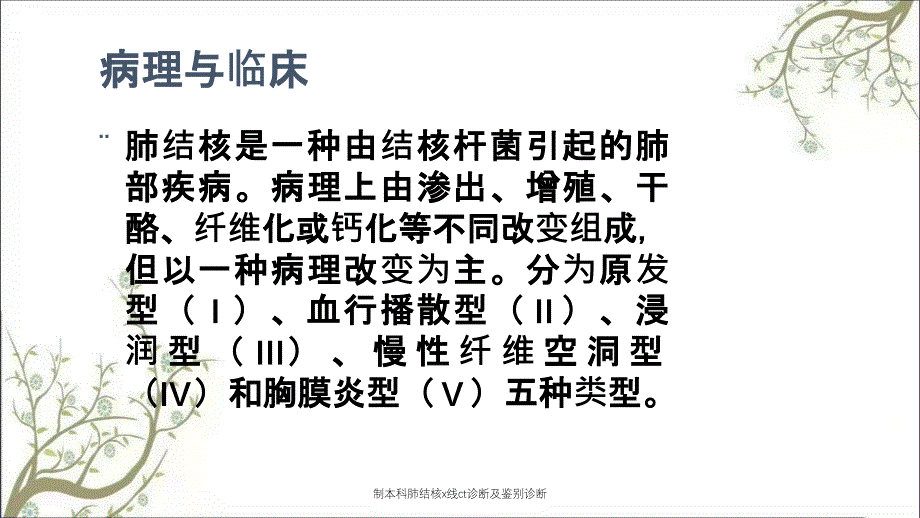 制本科肺结核x线ct诊断及鉴别诊断_第2页