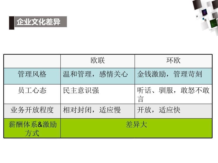 合升公司合并过程中遭遇的管理冲突案例分析报告课件_第5页