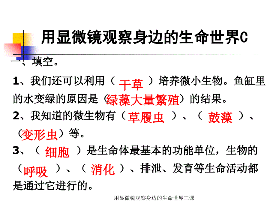 用显微镜观察身边的生命世界三课课件_第2页