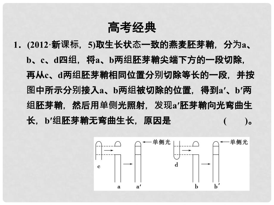 高考生物二轮专题突破 植物的生命活动调节复习课件 新人教版_第4页