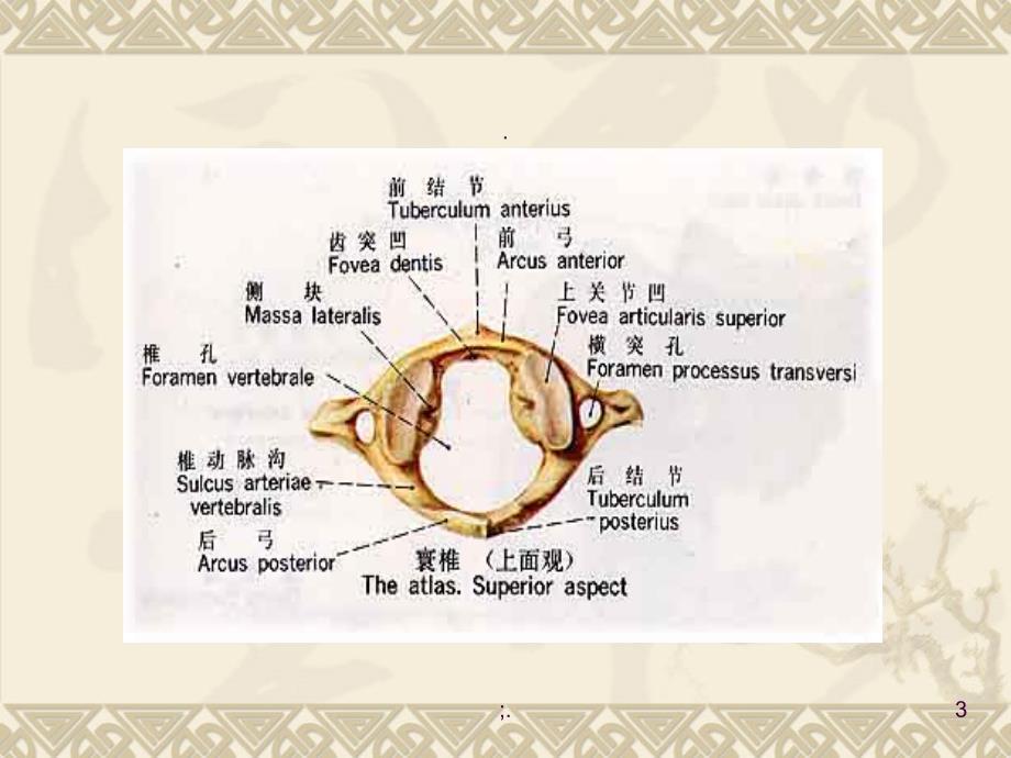 医学影像学第七版骨骼系统二ppt课件_第3页