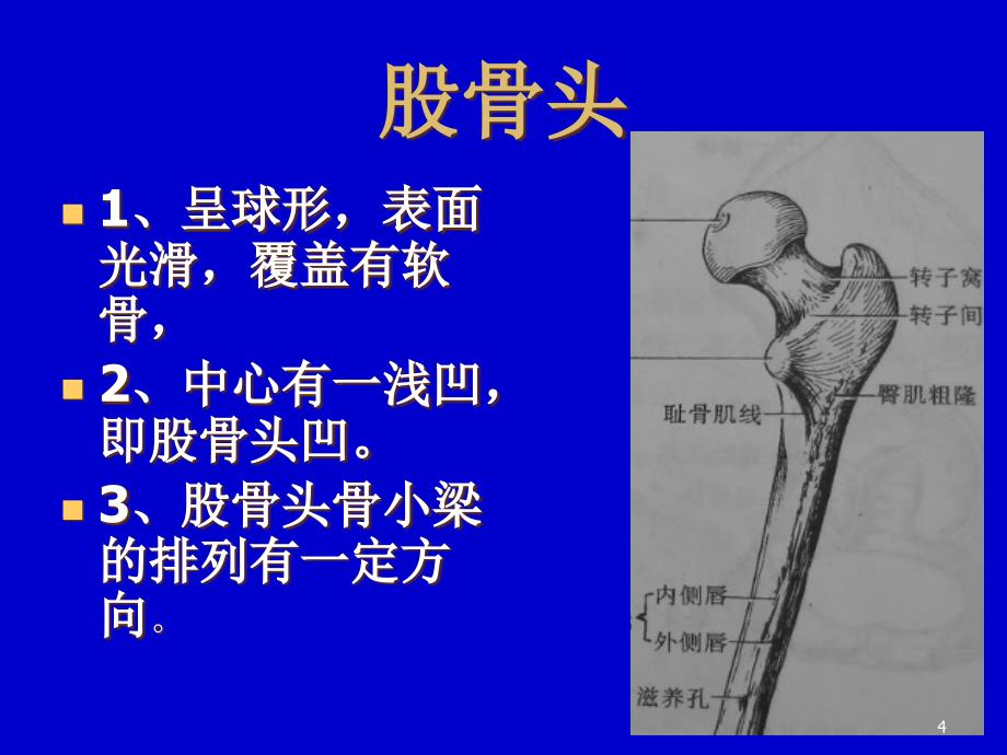 推荐精选编辑股骨头缺血坏死影像学诊断_第4页