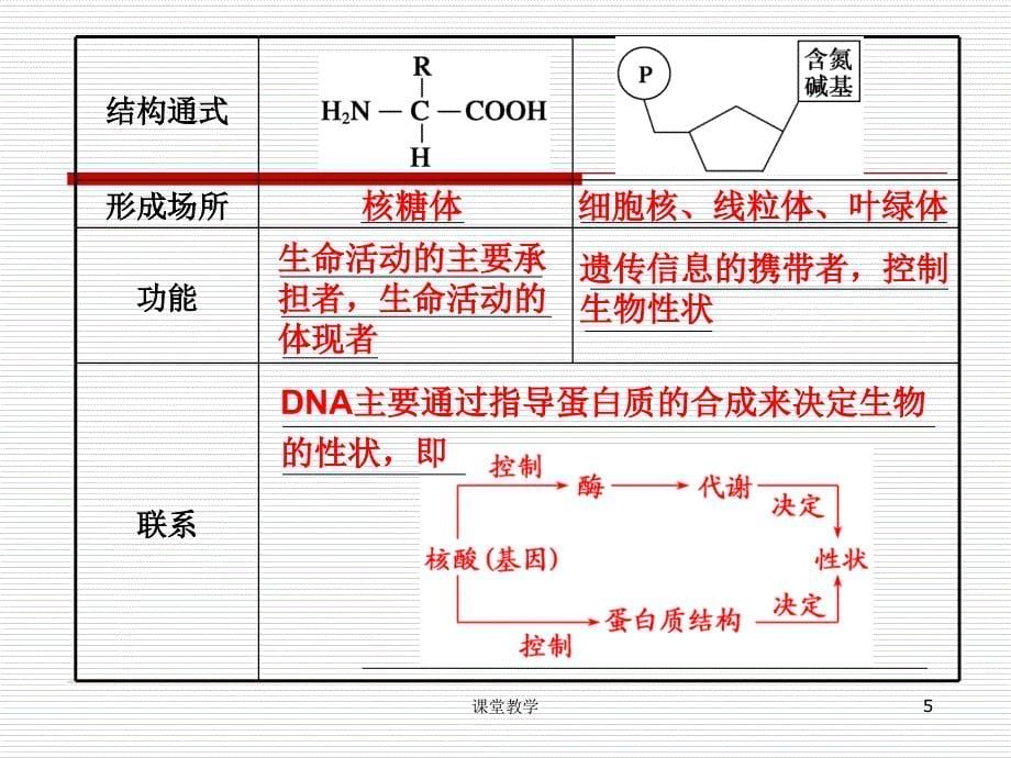 新课标高三生物二轮复习专题课件学案1细胞的分子组成课时讲课_第5页