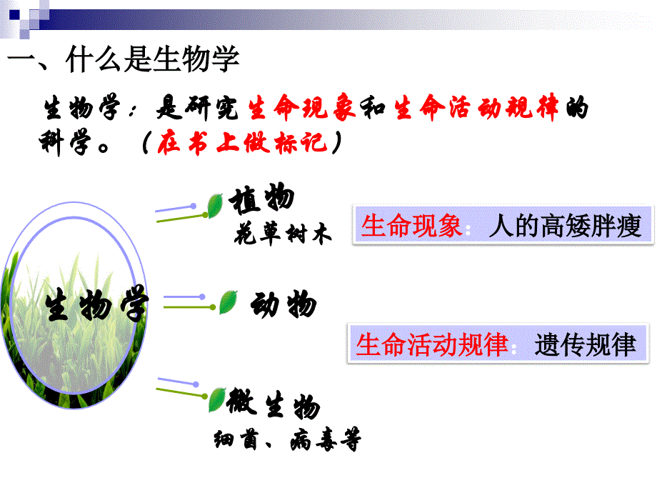 0生物学生物学第一堂课_第3页