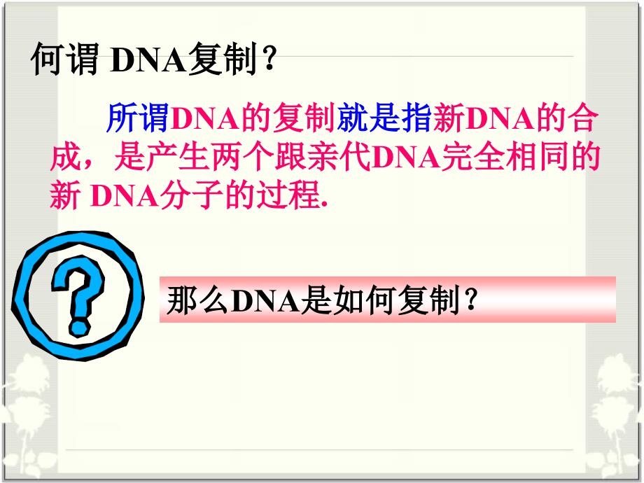 DNA的复制(动画)解读课件_第3页