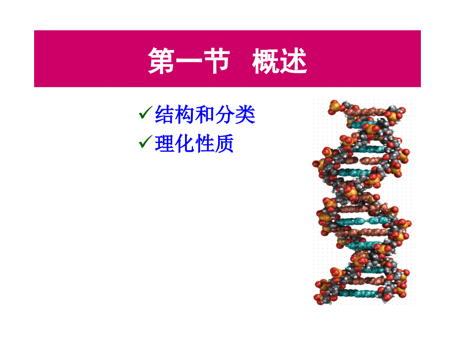 核酸类药物的分析PPT课件_第3页