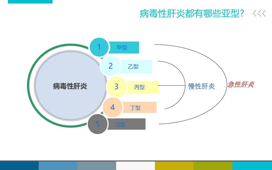 肝患者教育ppt课件_第4页