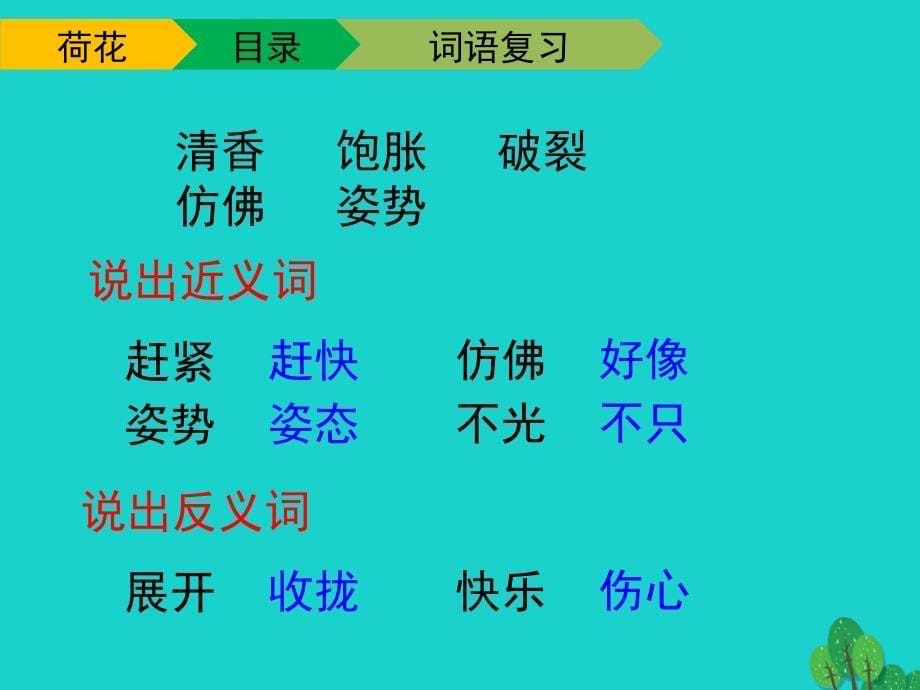 三年级语文下册第一单元3荷花教学课件2新人教版课件_第5页