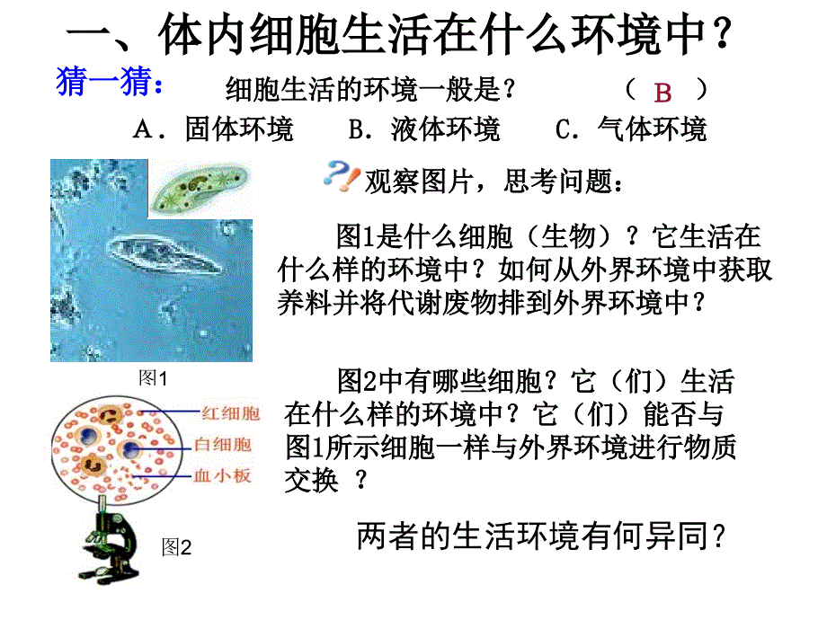 细胞生活的内环境_第2页