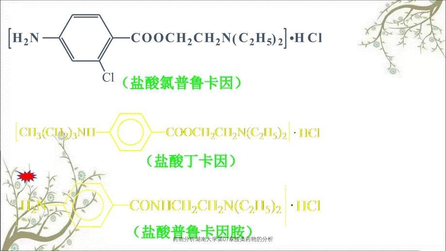 药物分析湖南大学第07章胺类药物的分析_第5页