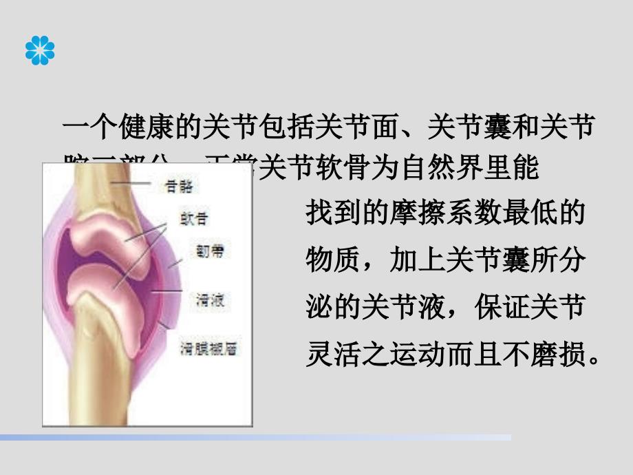 骨关节疾病研究_第3页