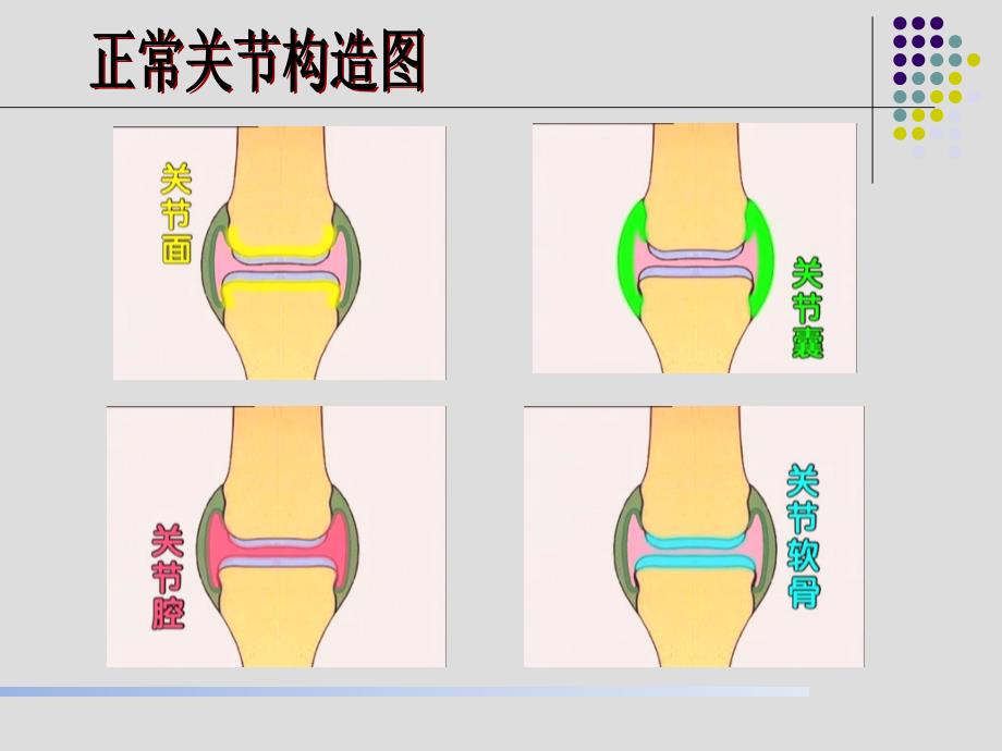 骨关节疾病研究_第4页