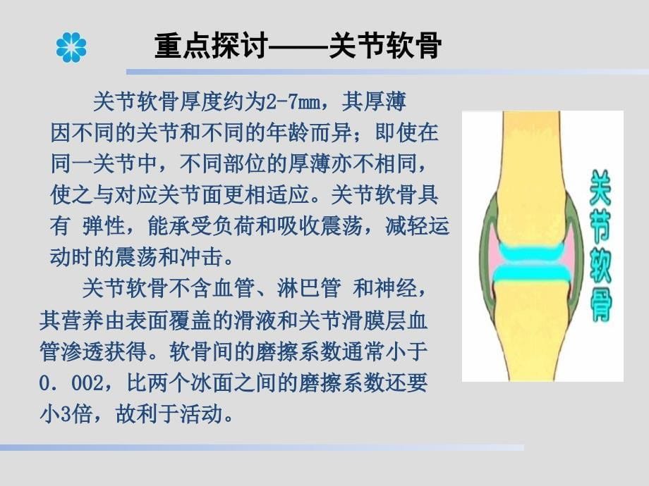 骨关节疾病研究_第5页