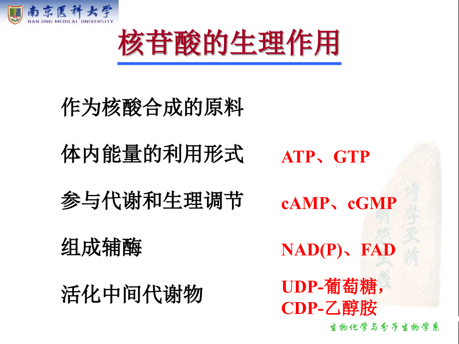 生物化学：第十章 核苷酸代谢_第4页