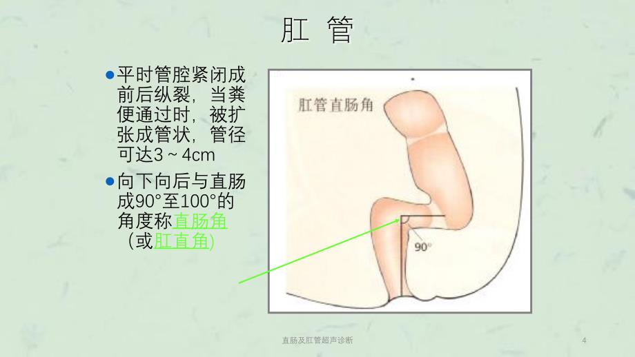 直肠及肛管超声诊断课件_第4页