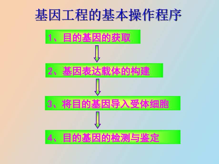 高二生物基因工程的基本操作步骤_第3页