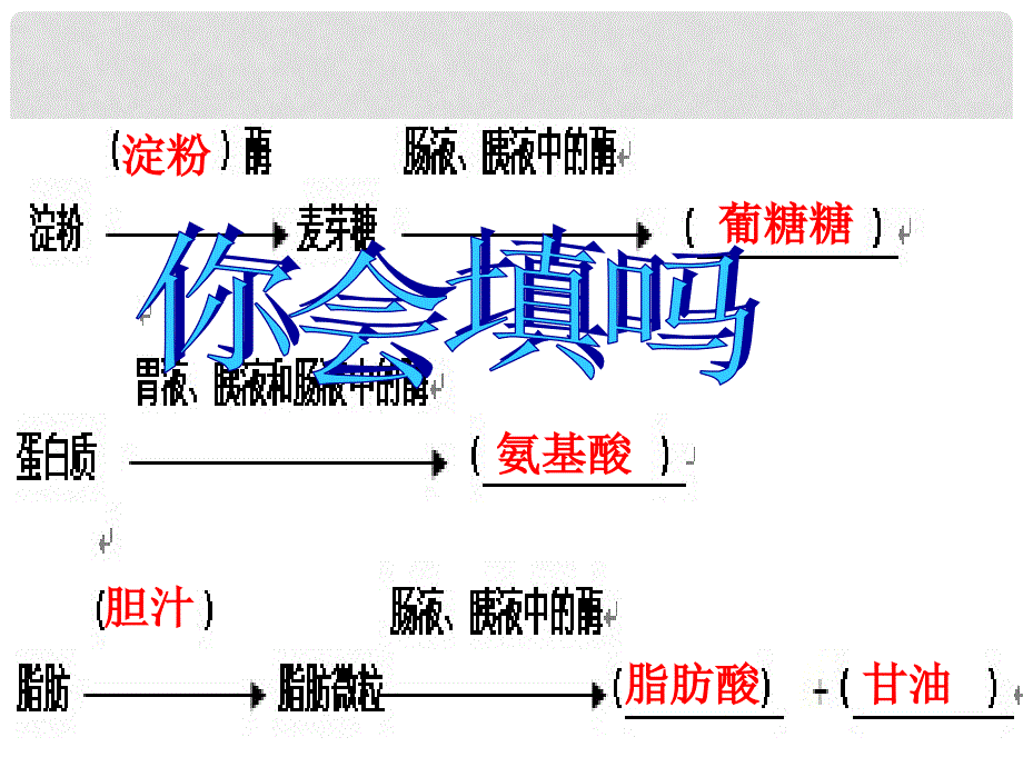 七年级生物下册 第二章 第二节 消化和吸收课件 新人教版_第2页