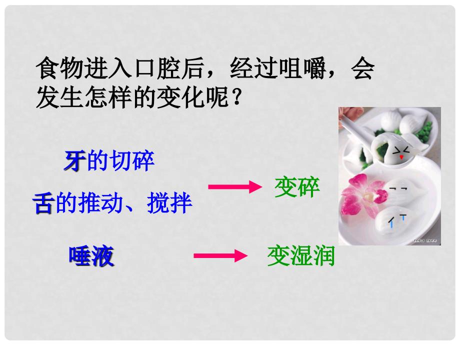 七年级生物下册 第二章 第二节 消化和吸收课件 新人教版_第4页