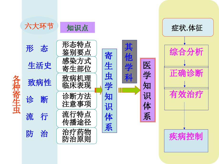 寄生虫学考试总结预防临床_第3页