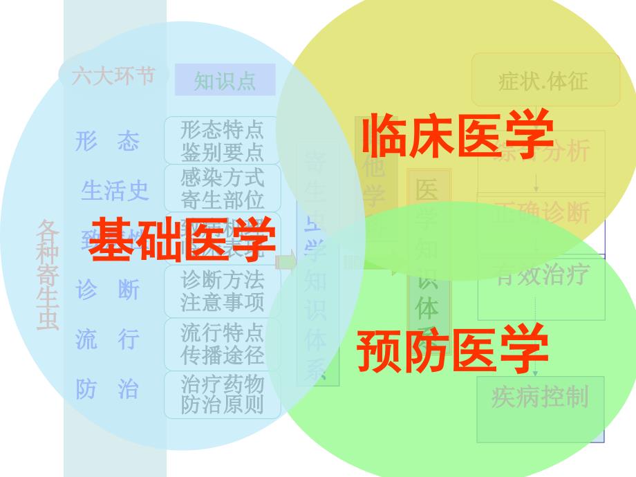 寄生虫学考试总结预防临床_第4页