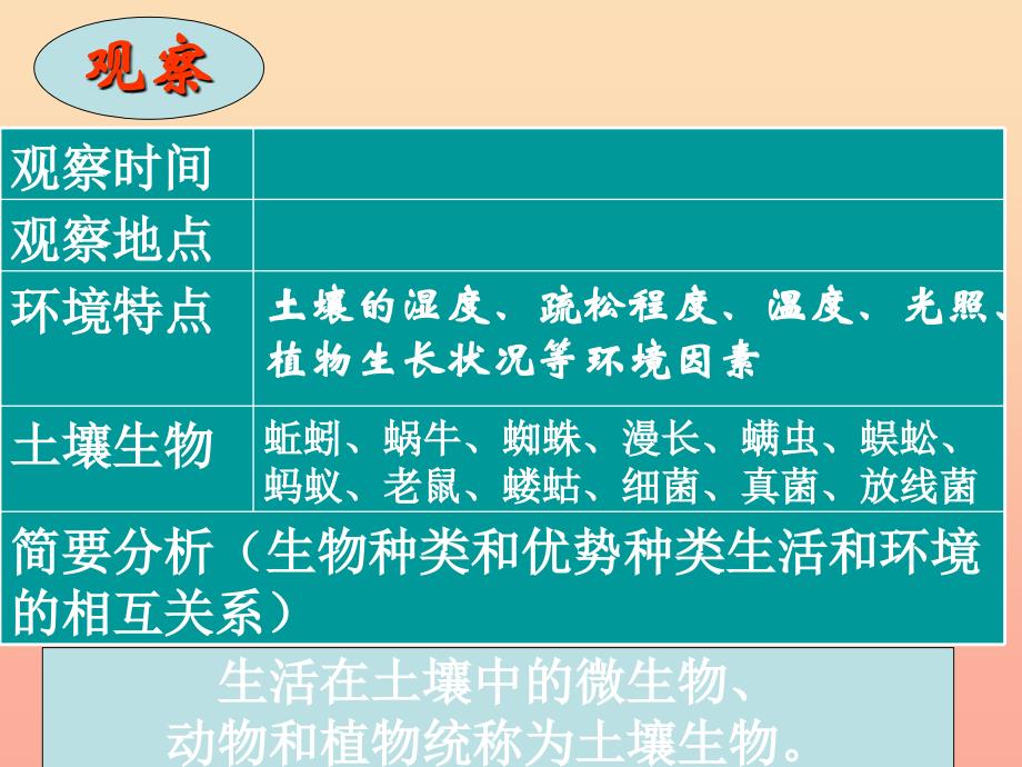 三年级科学下册三植物生活的土地1土壤里有什么课件4新人教版.ppt_第4页