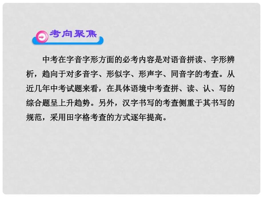 中考语文第二轮复习 第一部分积累与运用第一章字音字形课件 人教新课标版_第5页