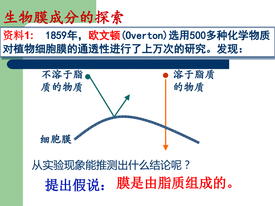 生物膜的流动镶嵌模型课件ppt_第3页