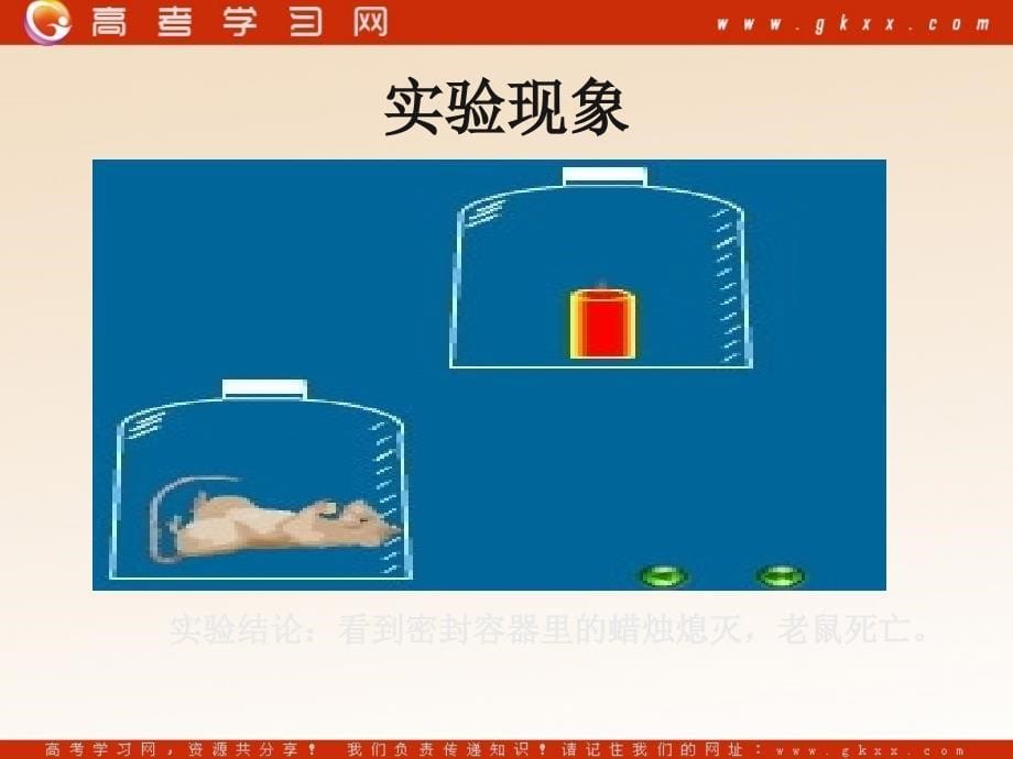 高中生物《光合作用》课件6（20张PPT）（苏教版必修1）_第5页