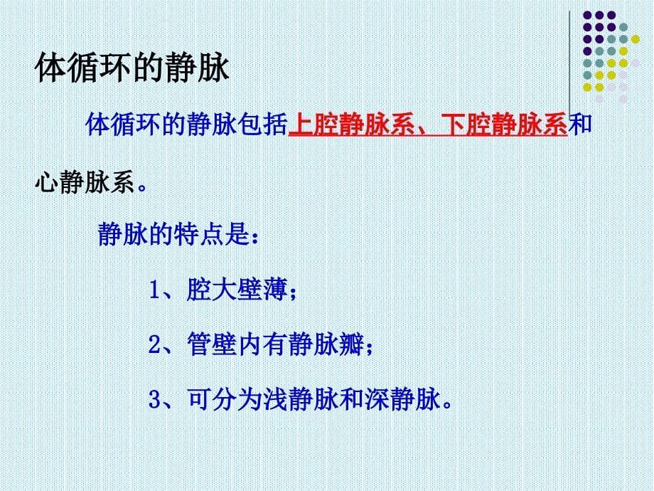 人体解剖生理学课件第六章循环系统的结构与功能2_第5页