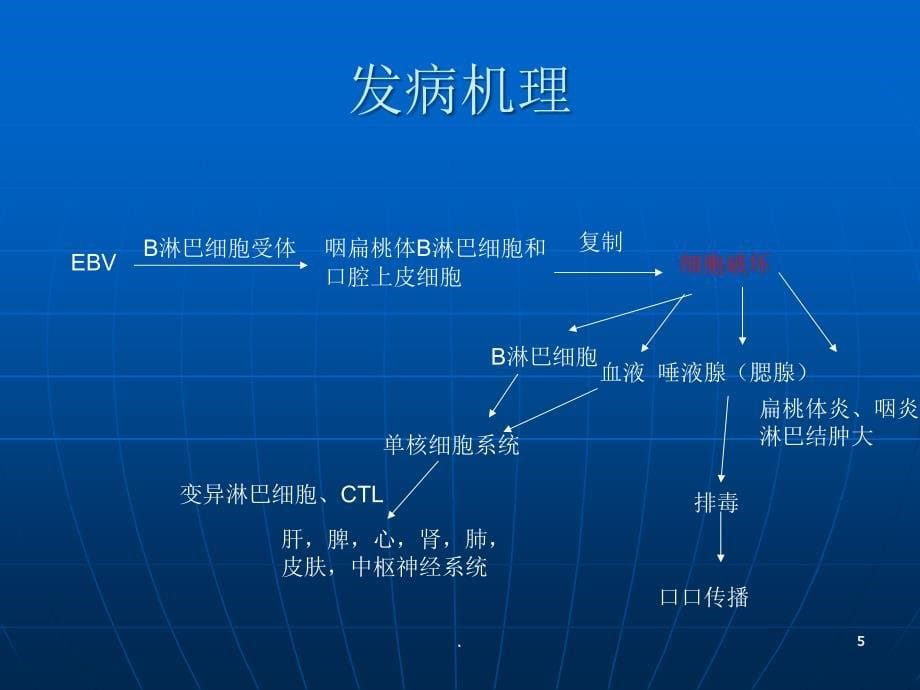 传染性单核细胞增护理查房ppt医学课件_第5页