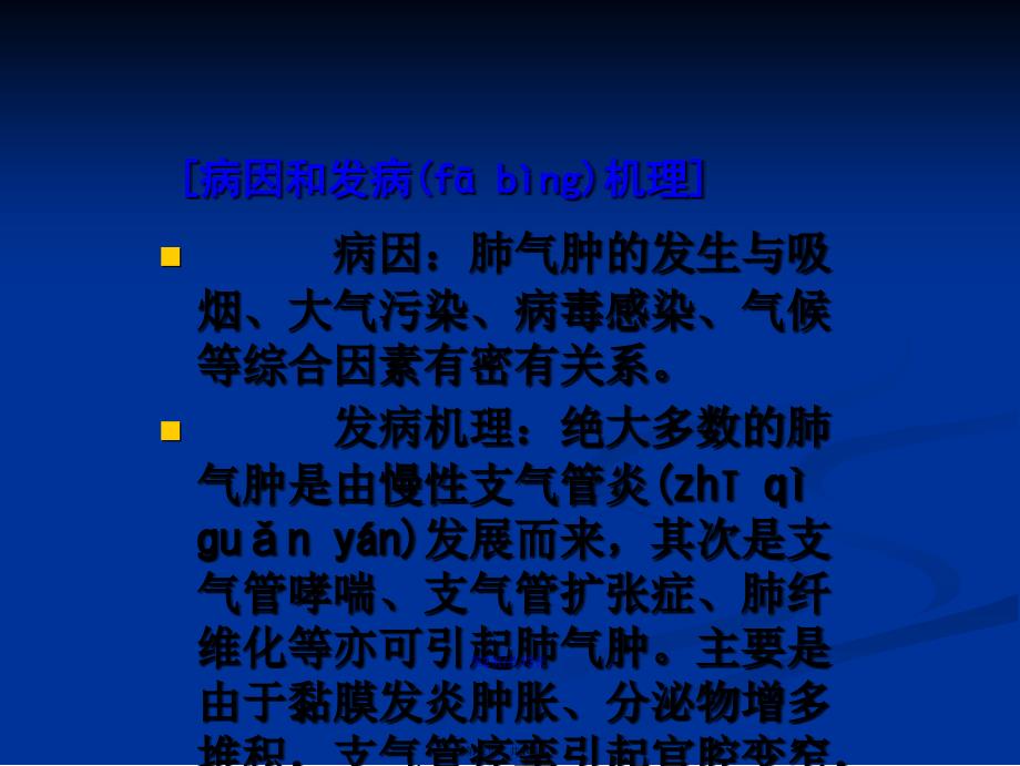 肺气肿病人的护理学习教案_第3页