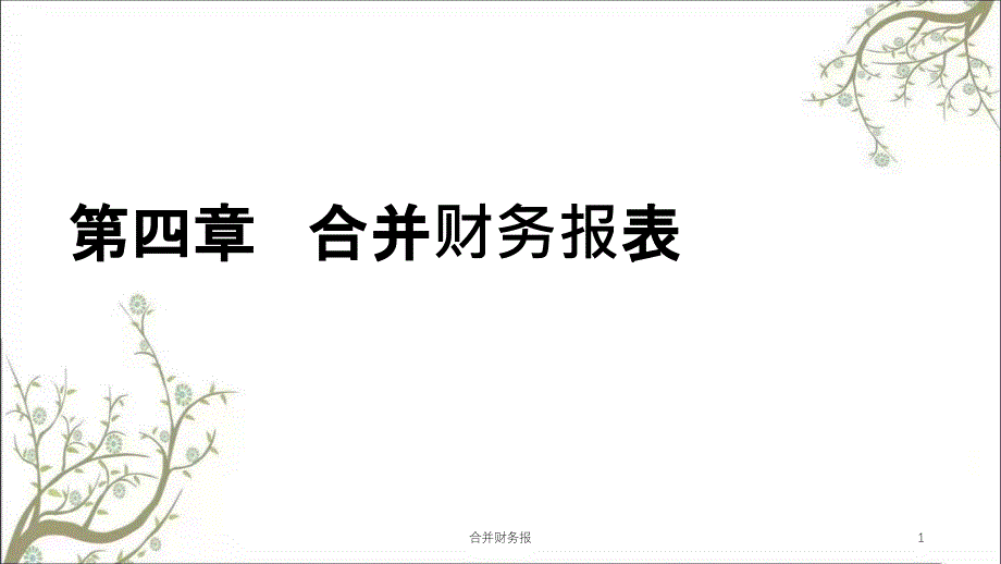 合并财务报课件_第1页