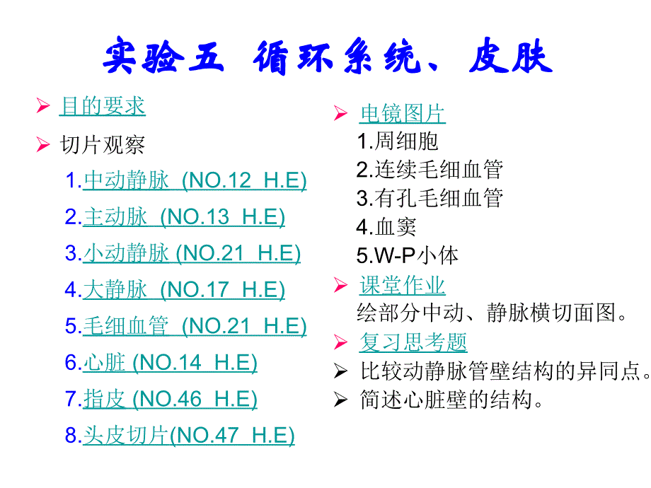 实验五循环系统、皮肤_第1页