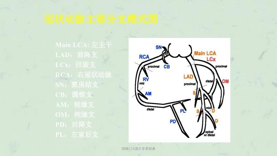 冠脉CTA读片非常经典课件_第5页